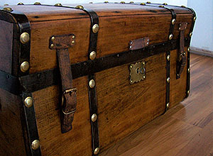 Trunk 748 Front Angle