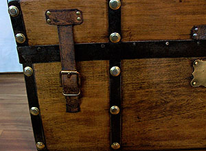 Trunk 748 short leather strap
