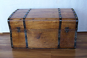 Trunk 748 back